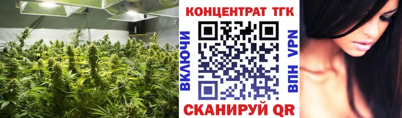 Дистиллят ТГК гашишное масло Купить где Гдов