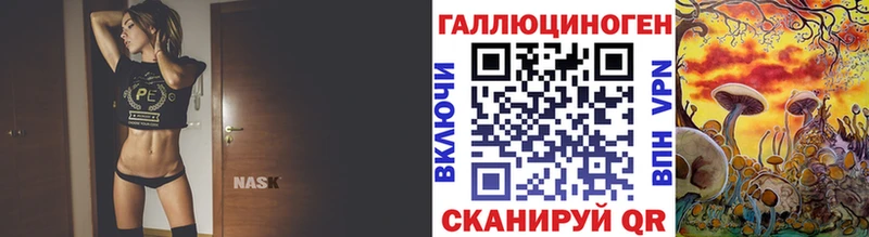 Купить  Гдов  Галлюциногенные грибы Psilocybine cubensis 